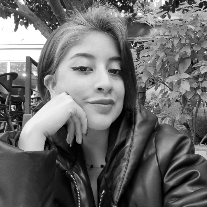 Lorena Mireles